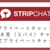 プライベートチャット・限定プライベート・のぞき見（スパイ）チャットの違いを比較しています。